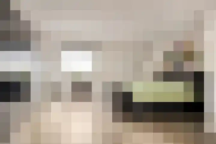 De Schepershilt 31 Leusden thumbnail 18