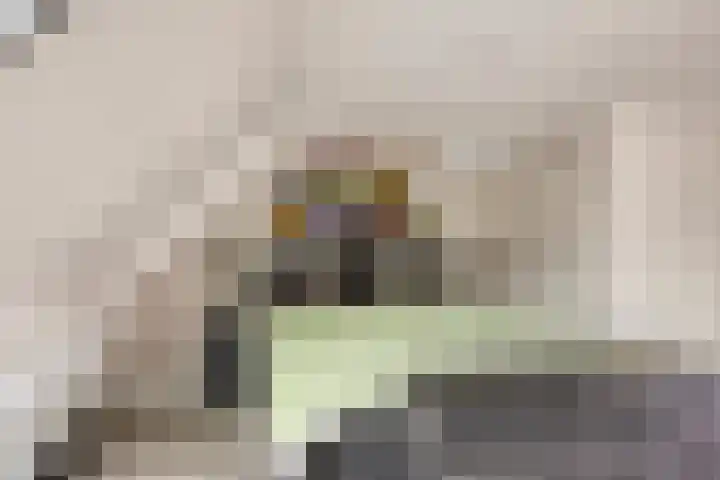 De Schepershilt 31 Leusden thumbnail 19
