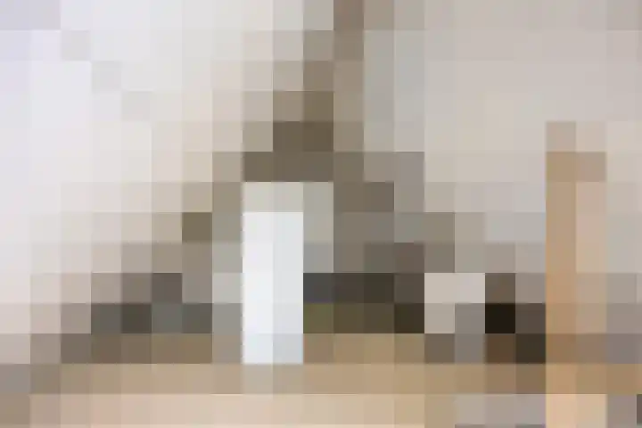 De Schepershilt 31 Leusden thumbnail 25