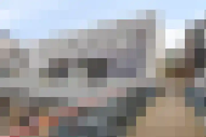 De Schepershilt 31 Leusden thumbnail 29