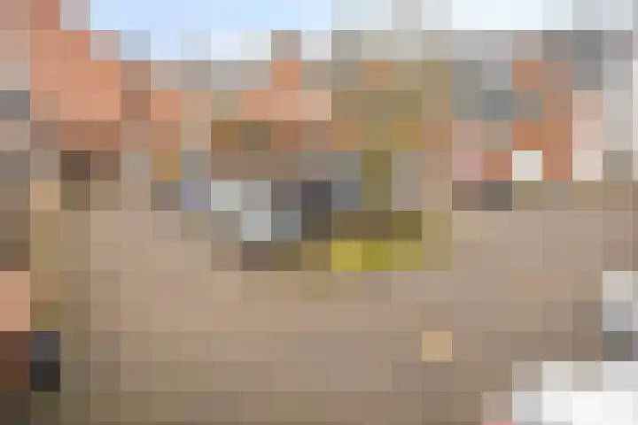 De Schepershilt 31 Leusden thumbnail 30