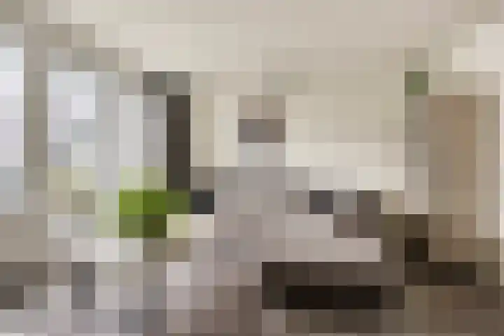 De Schepershilt 31 Leusden thumbnail 6