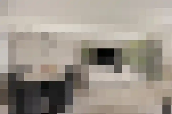 De Schepershilt 31 Leusden thumbnail 7