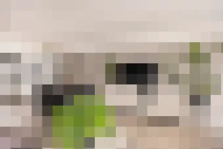De Schepershilt 31 Leusden thumbnail 8