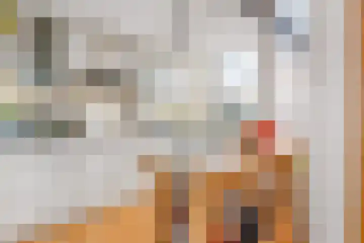 De Schepershilt 4 Leusden thumbnail 10