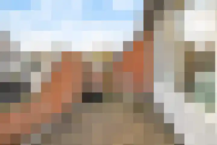 De Schepershilt 4 Leusden thumbnail 14