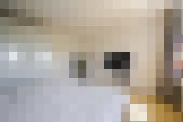 De Schepershilt 4 Leusden thumbnail 20