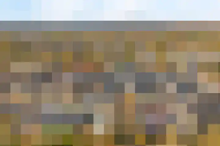 De Schepershilt 4 Leusden thumbnail 28