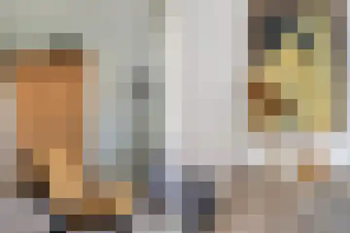 de Schepperstraat 1 Buitenpost thumbnail 14