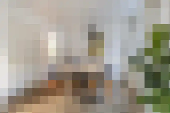de Schepperstraat 1 Buitenpost thumbnail 15