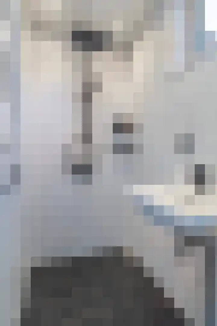 de Schepperstraat 1 Buitenpost thumbnail 17