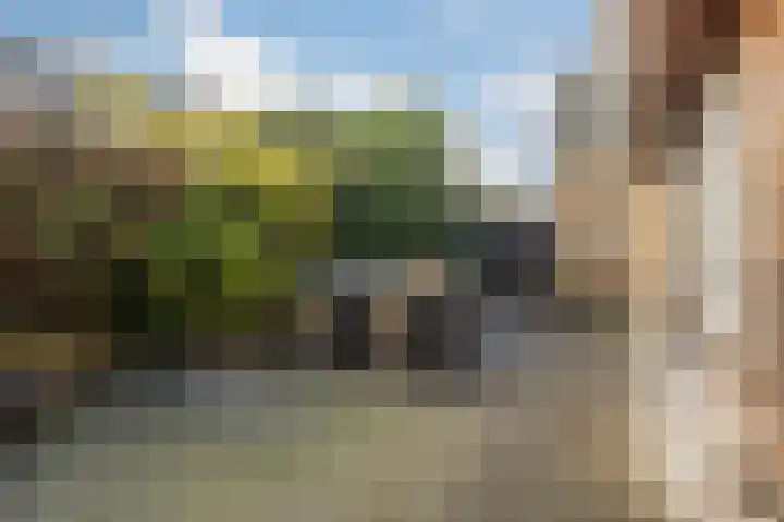 de Schepperstraat 1 Buitenpost thumbnail 28