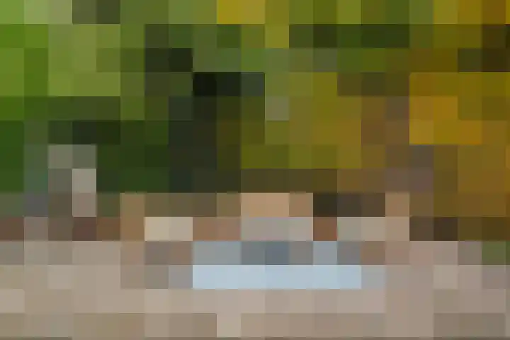 de Schepperstraat 1 Buitenpost thumbnail 4