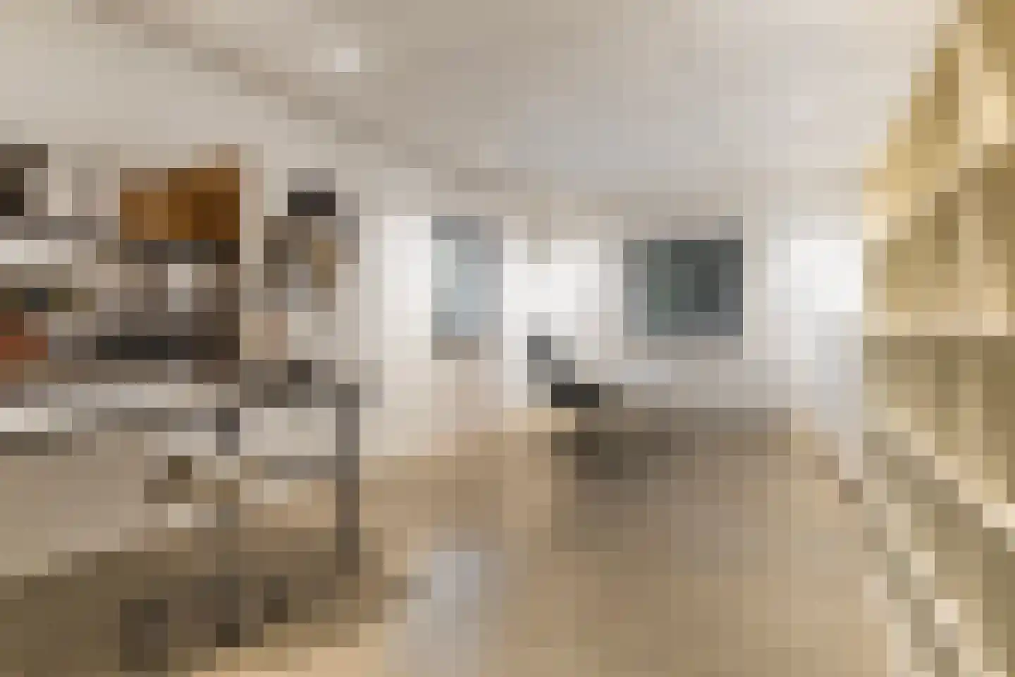 de Schepperstraat 2 A Buitenpost thumbnail 23