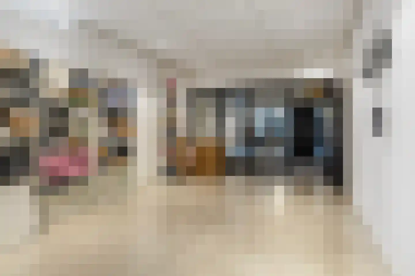 de Schepperstraat 2 A Buitenpost thumbnail 26