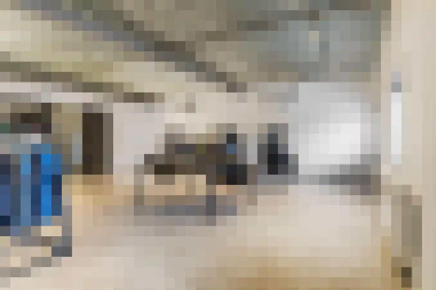 de Schepperstraat 2 A Buitenpost thumbnail 30