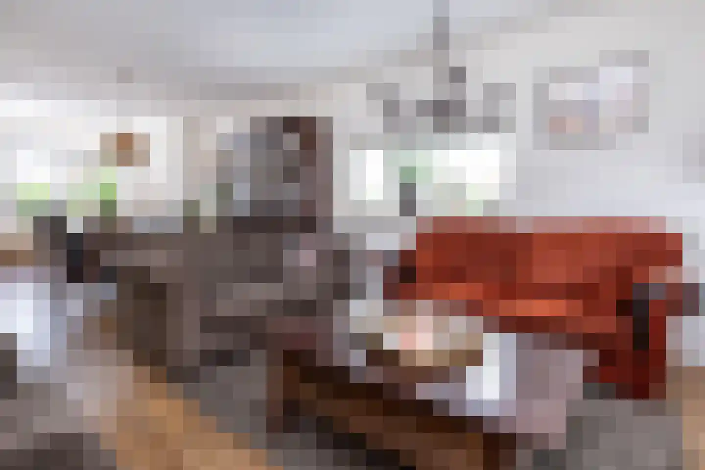 de Schepperstraat 2 A Buitenpost thumbnail 44
