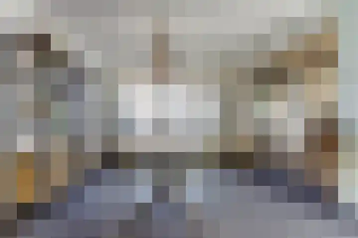 de Scherfbak 7 Reusel thumbnail 12