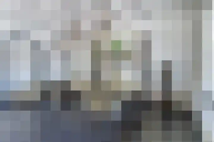 de Scherfbak 7 Reusel thumbnail 14