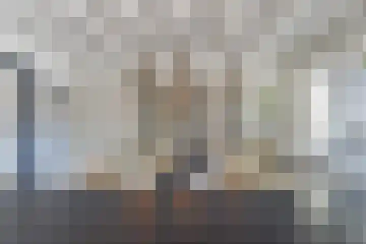 de Scherfbak 7 Reusel thumbnail 17