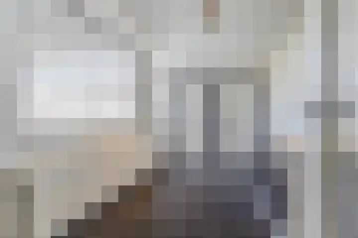 de Scherfbak 7 Reusel thumbnail 20