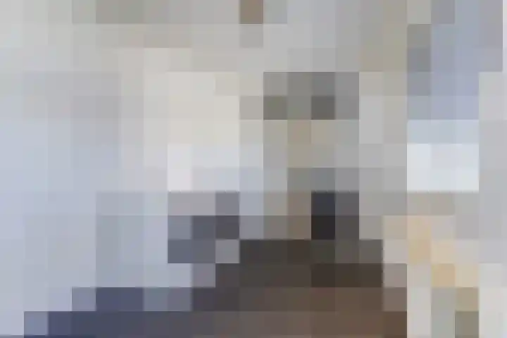 de Scherfbak 7 Reusel thumbnail 21