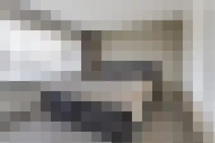 de Scherfbak 7 Reusel thumbnail 25