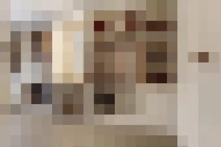 de Scherfbak 7 Reusel thumbnail 27