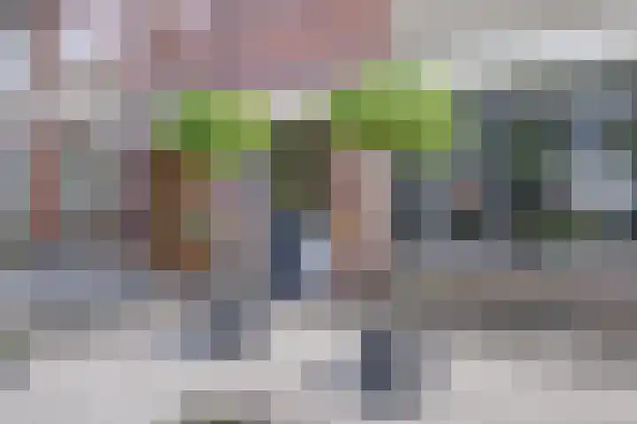 de Scherfbak 7 Reusel foto 3