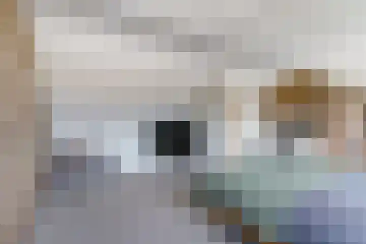 de Scherfbak 7 Reusel thumbnail 37