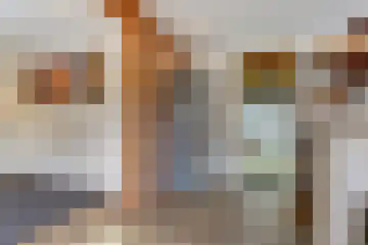 de Scherfbak 7 Reusel thumbnail 39