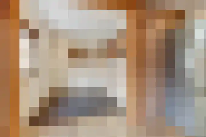 de Scherfbak 7 Reusel thumbnail 40