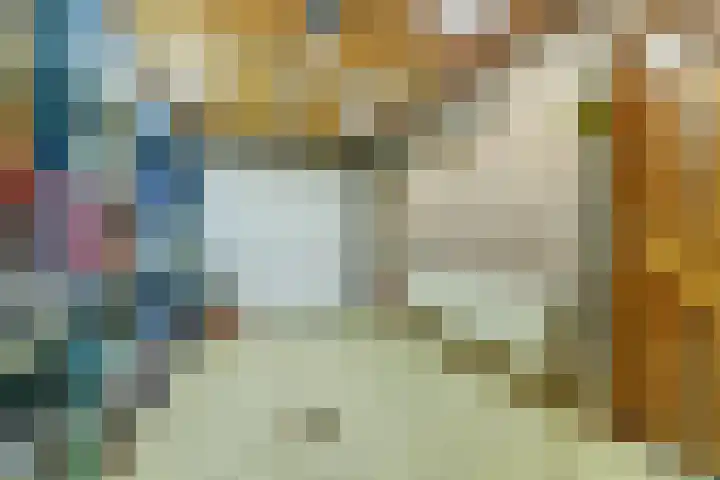 de Scherfbak 7 Reusel thumbnail 43