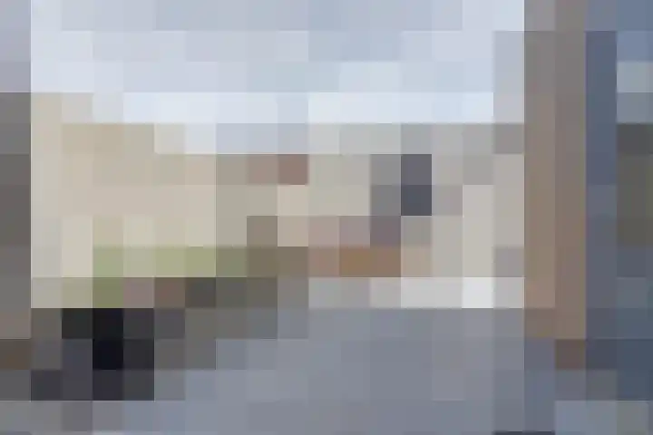 de Scherfbak 7 Reusel thumbnail 45