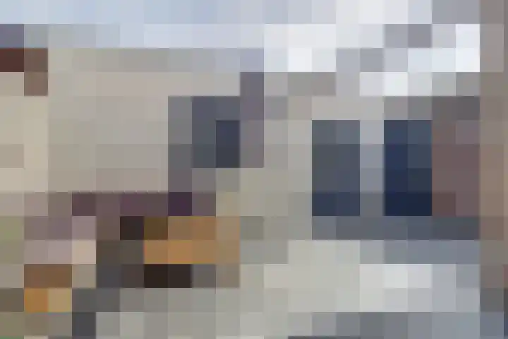 de Scherfbak 7 Reusel thumbnail 47