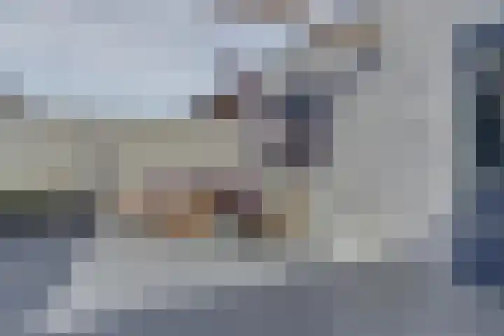 de Scherfbak 7 Reusel thumbnail 49