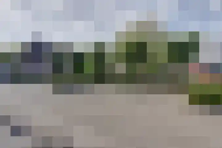 de Scherfbak 7 Reusel thumbnail 54