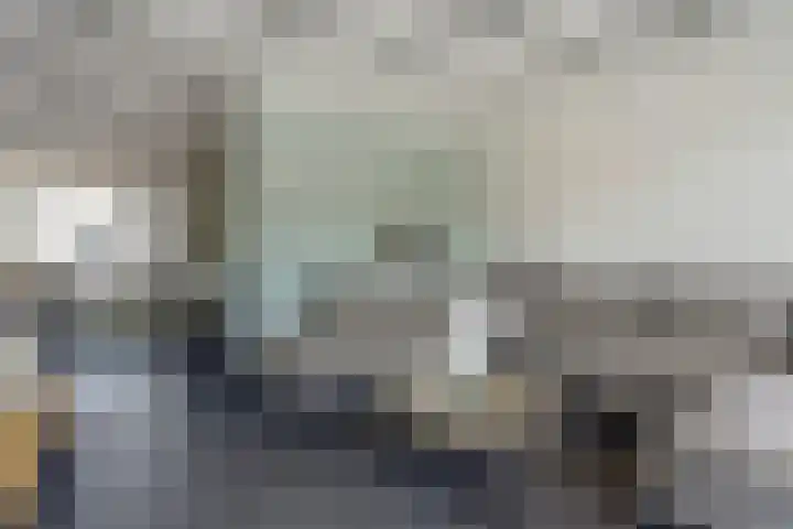 de Scherfbak 7 Reusel thumbnail 9