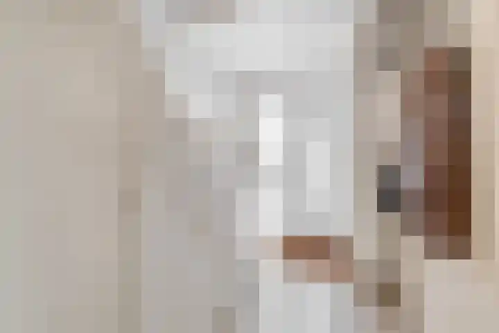 De Schering 10 Zuidland thumbnail 10