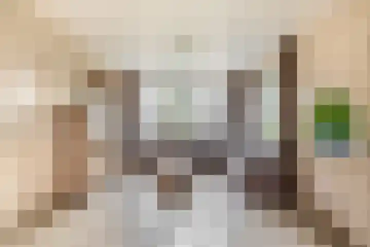 De Schering 10 Zuidland thumbnail 12