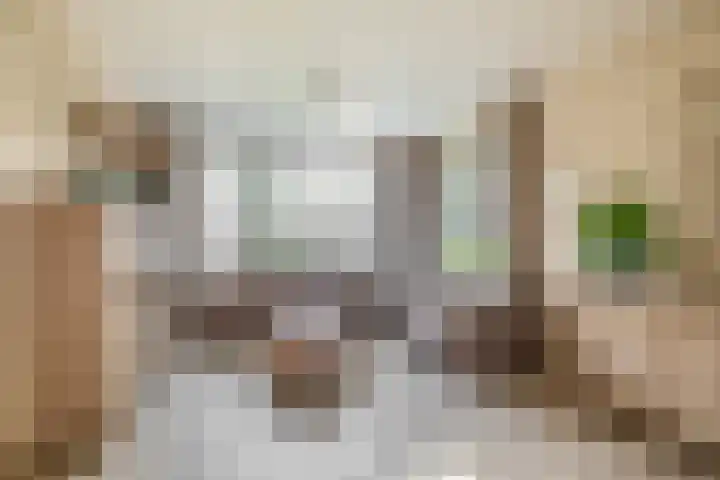 De Schering 10 Zuidland thumbnail 13