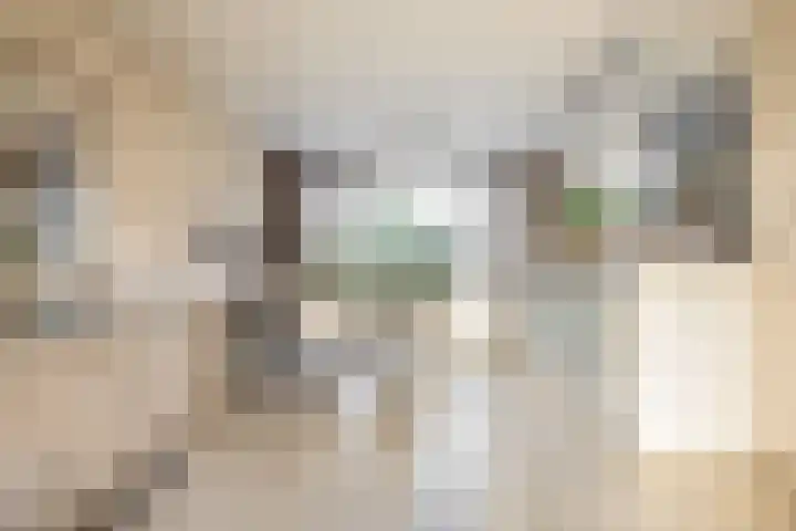 De Schering 10 Zuidland thumbnail 15