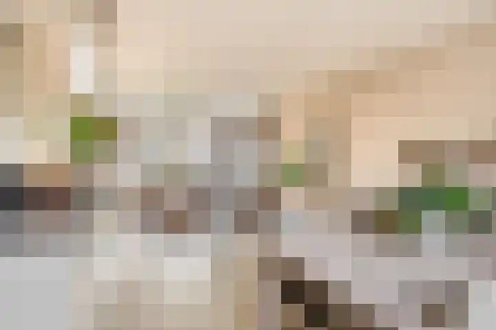 De Schering 10 Zuidland thumbnail 16