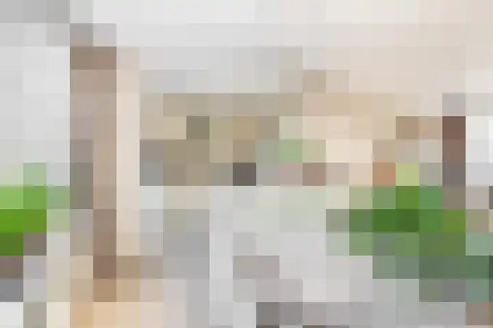 De Schering 10 Zuidland thumbnail 17