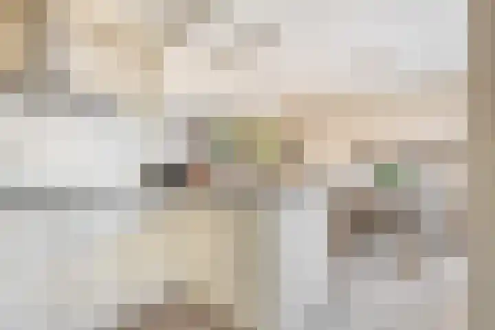 De Schering 10 Zuidland thumbnail 19