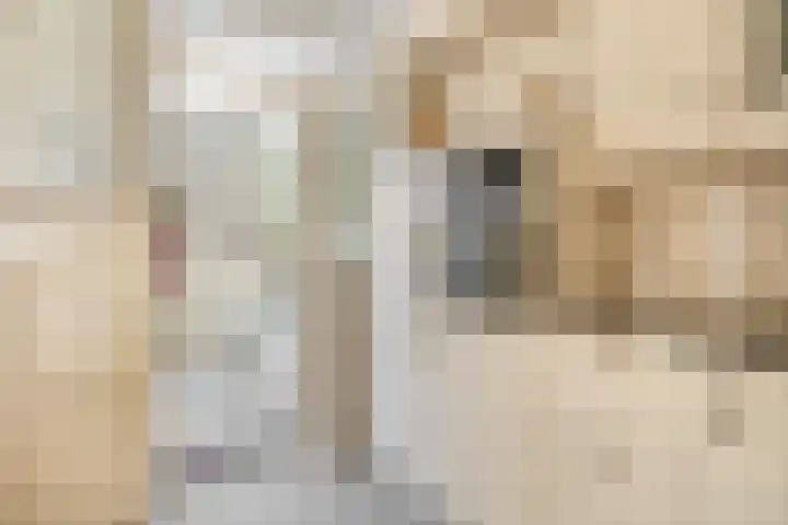De Schering 10 Zuidland thumbnail 20