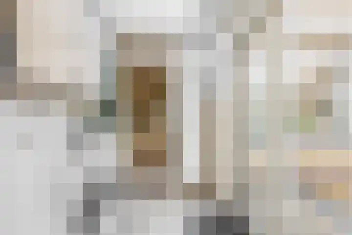 De Schering 10 Zuidland thumbnail 23