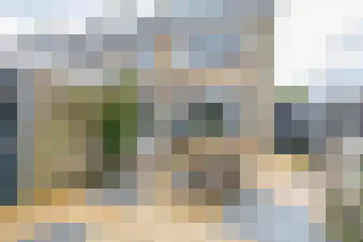 De Schering 10 Zuidland thumbnail 26