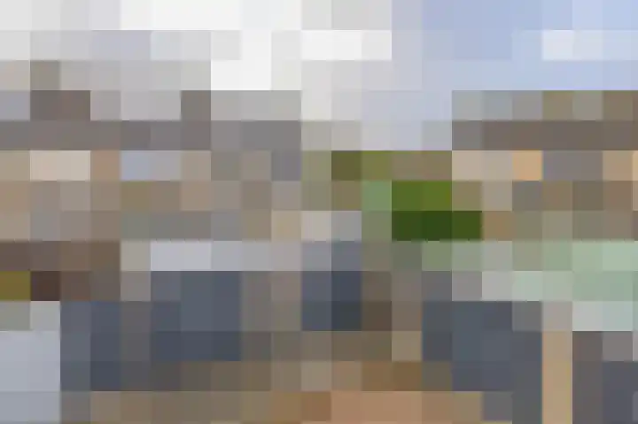 De Schering 10 Zuidland thumbnail 28