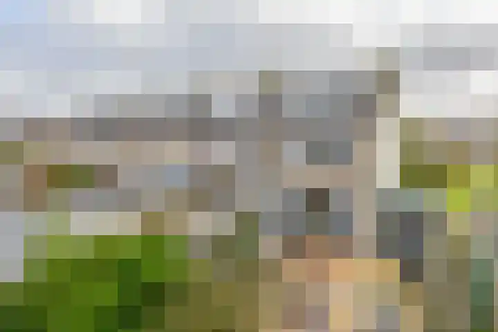 De Schering 10 Zuidland thumbnail 29